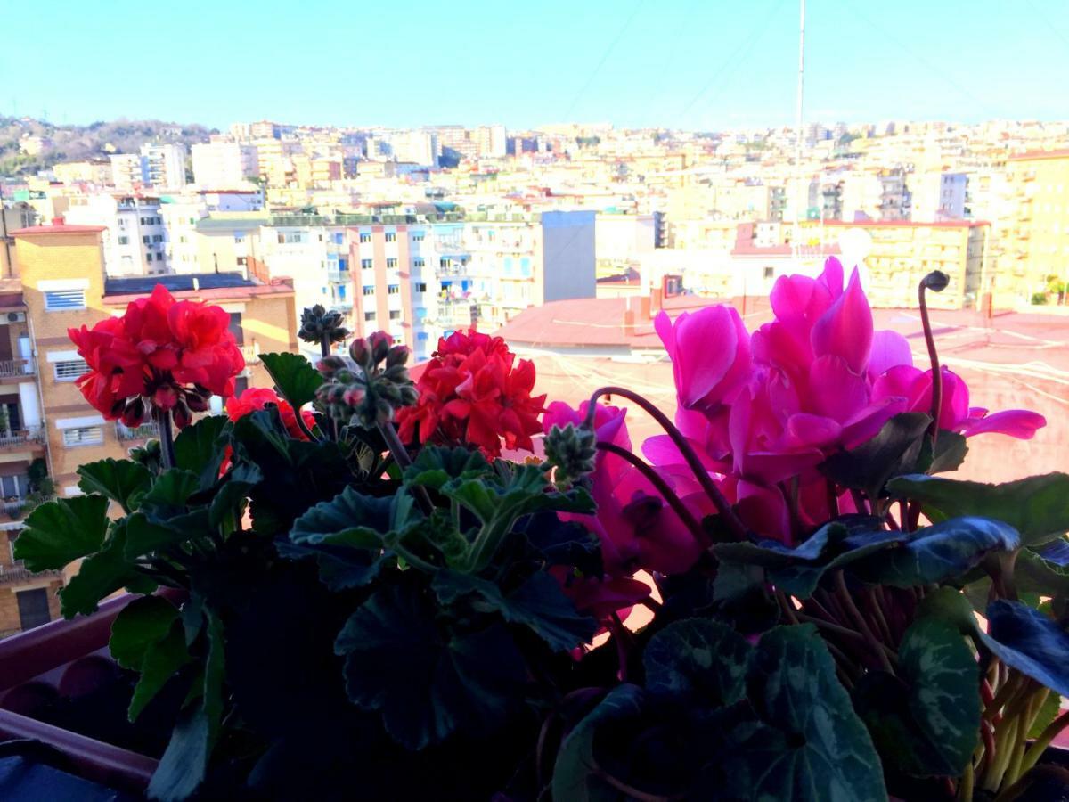 Suite Delicia Apartment - Appartamento Con Terrazza Napoli Dış mekan fotoğraf